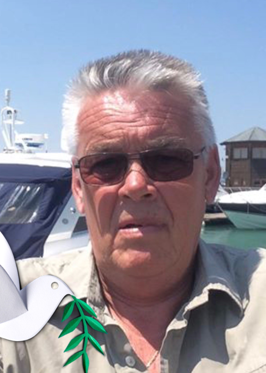 Hans Dall